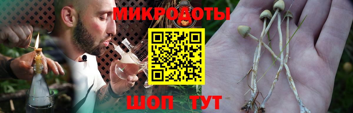 Галлюциногенные грибы MAGIC MUSHROOMS  Вход с VPN  Зима 