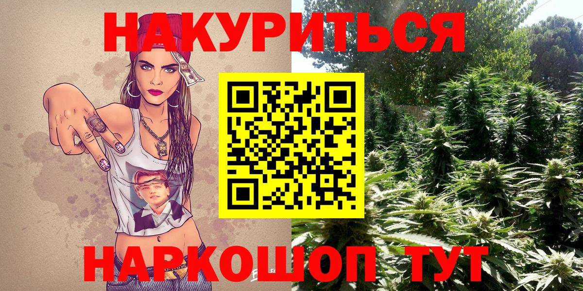 МАРИХУАНА SATIVA & INDICA  Бошки марихуана White Widow  Шишки марихуана White Widow  Конопля Bruce Banner  Вход с VPN  Зима 